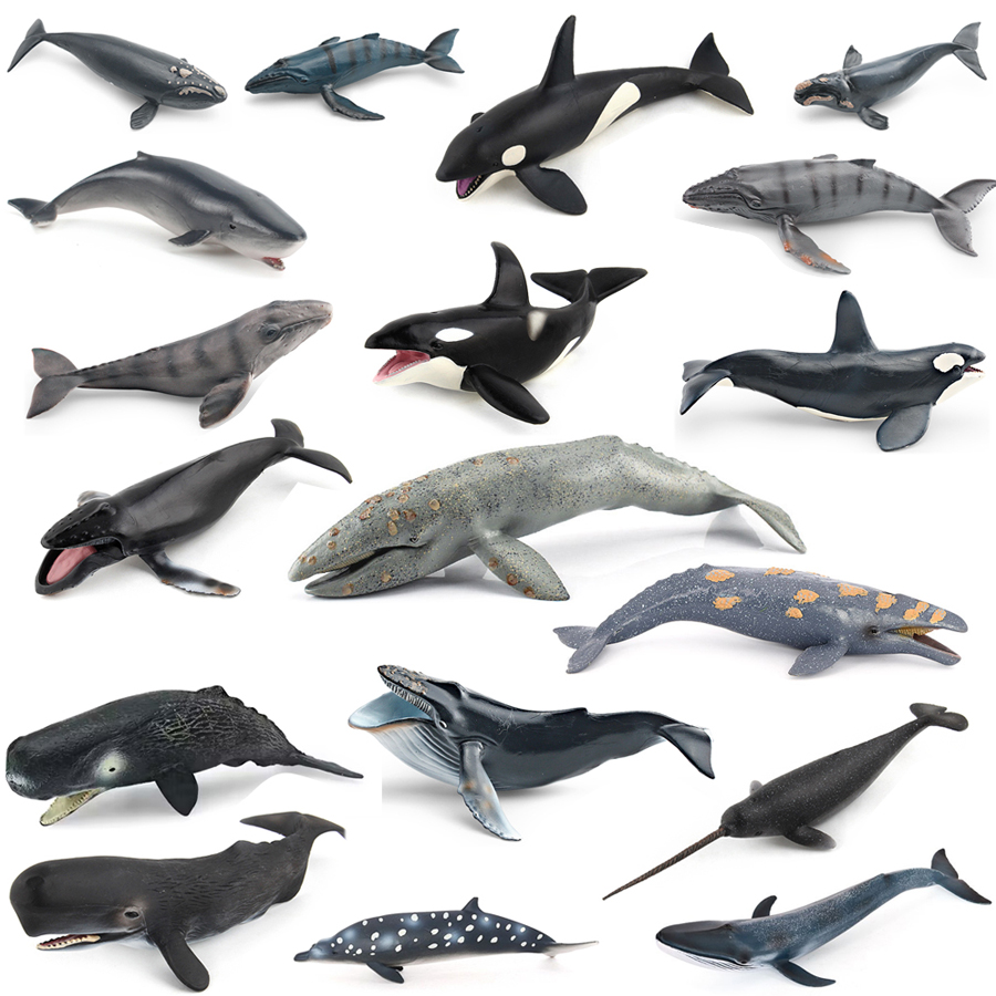 Kids Education Product - Modelli Realistici di Animali Marini: Balena