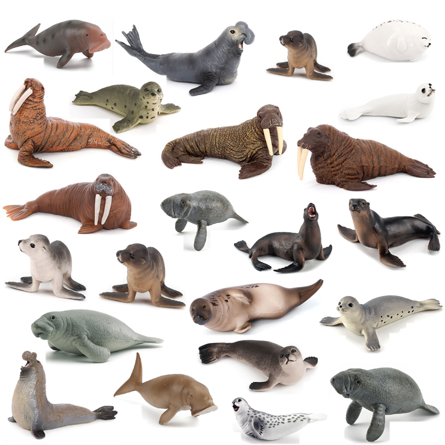 Modelli Realistici di Dugong,  - Kids Education Product recensione e prezzo