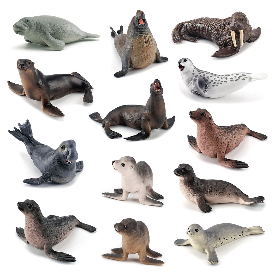 Modelli Realistici di Dugong,  - Kids Education Product recensione e prezzo