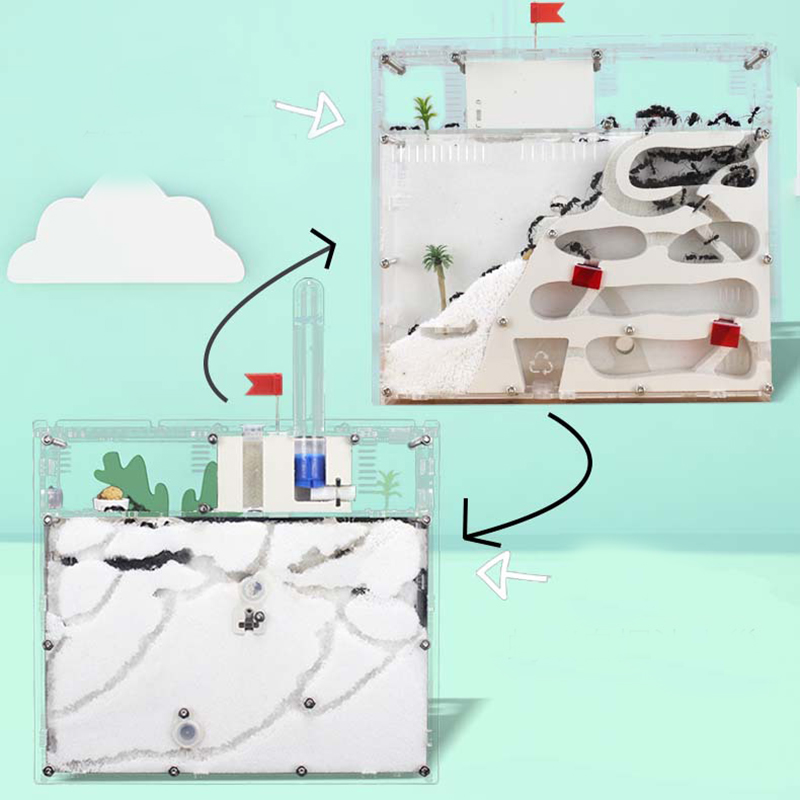 Formiche Regno Formiche Casa C - Kingdom Kids Education recensione e prezzo