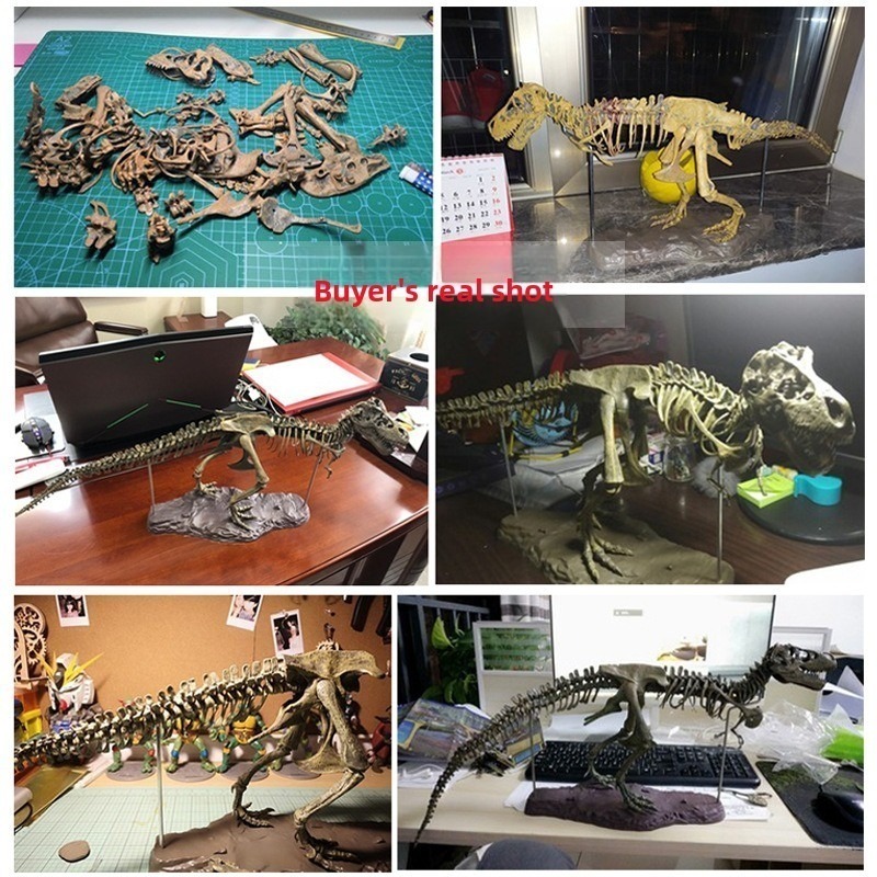 Giocattolo Fossile di Dinosaur - Kids Education Product recensione e prezzo