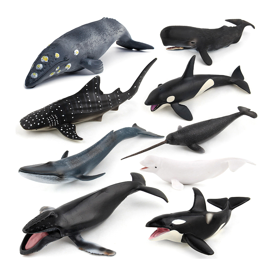 Modelli Realistici di Animali  - Kids Education Product recensione e prezzo